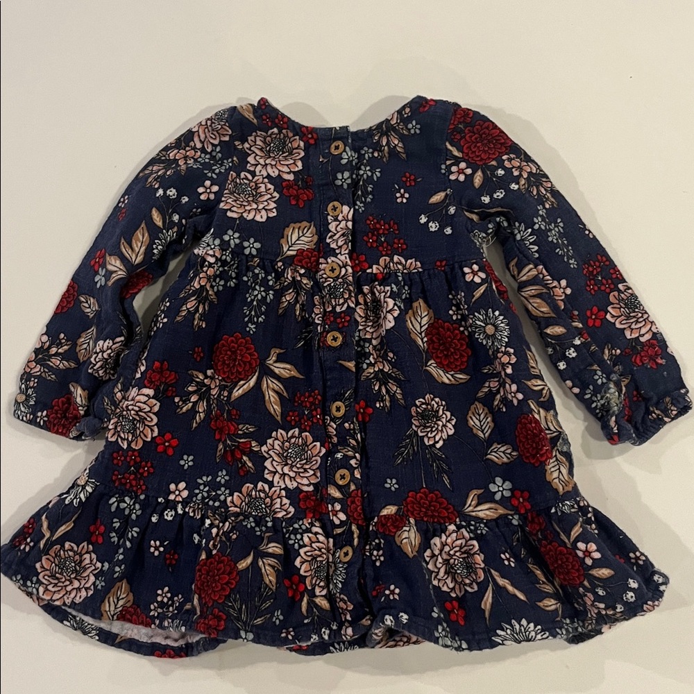 Wonder Nation |  Baby Girl Floral Ruffle Dress | 18M